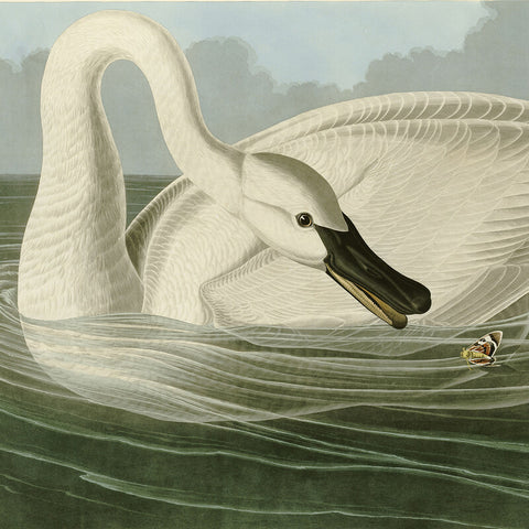 John James Audubon