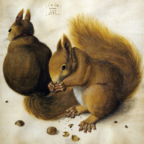 Albrecht Dürer