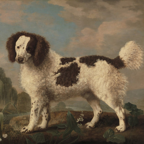 George Stubbs