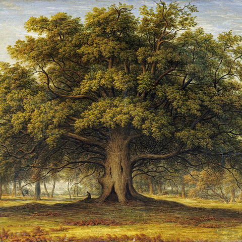 John Glover