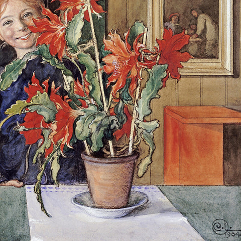 Carl Larsson