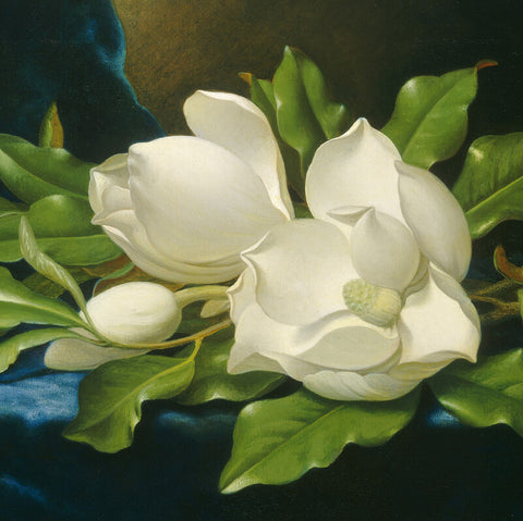Martin Johnson Heade
