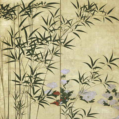 Kano Shigenobu