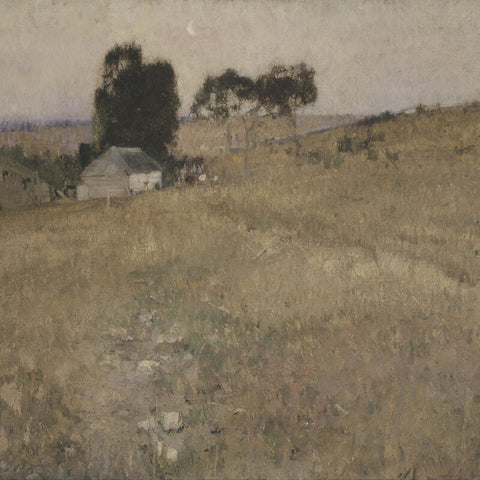 David Davies