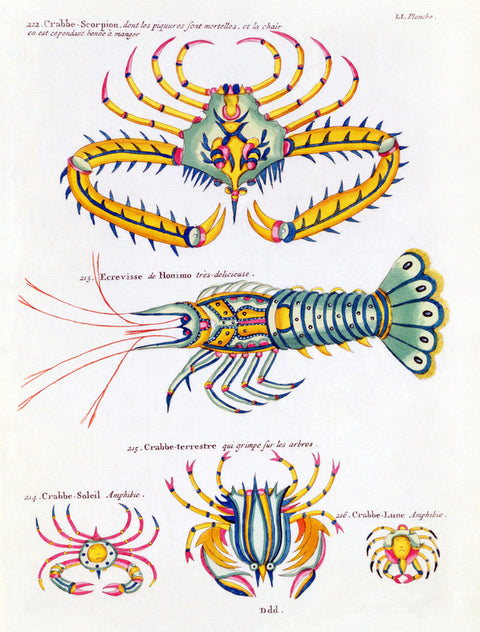 Crabs and crayfish