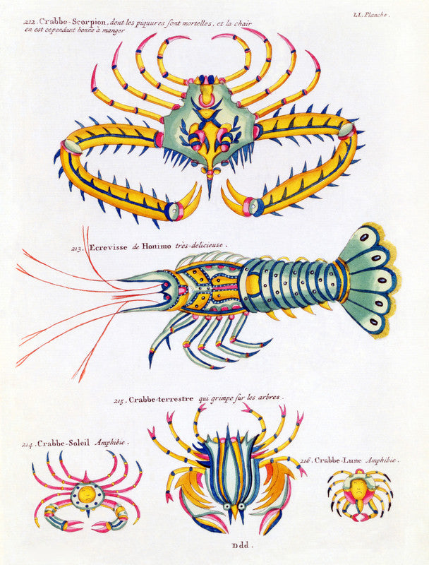 Crabs and crayfish