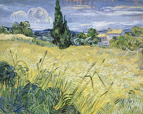 Landscape with Green Corn