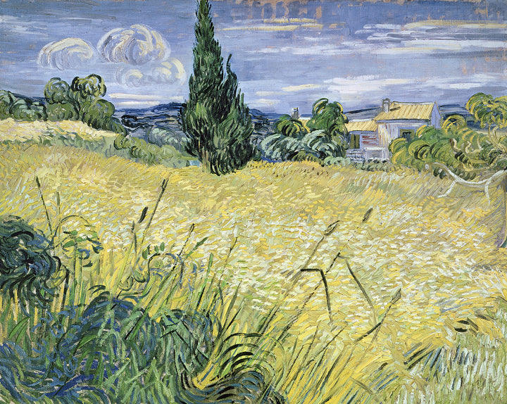 Landscape with Green Corn