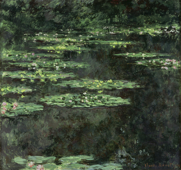 Waterlilies