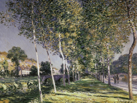 The Walk