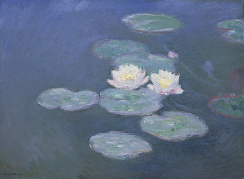 Waterlilies, Evening
