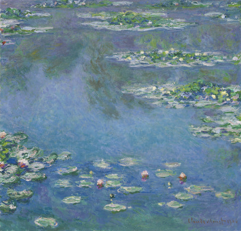 Water Lillies