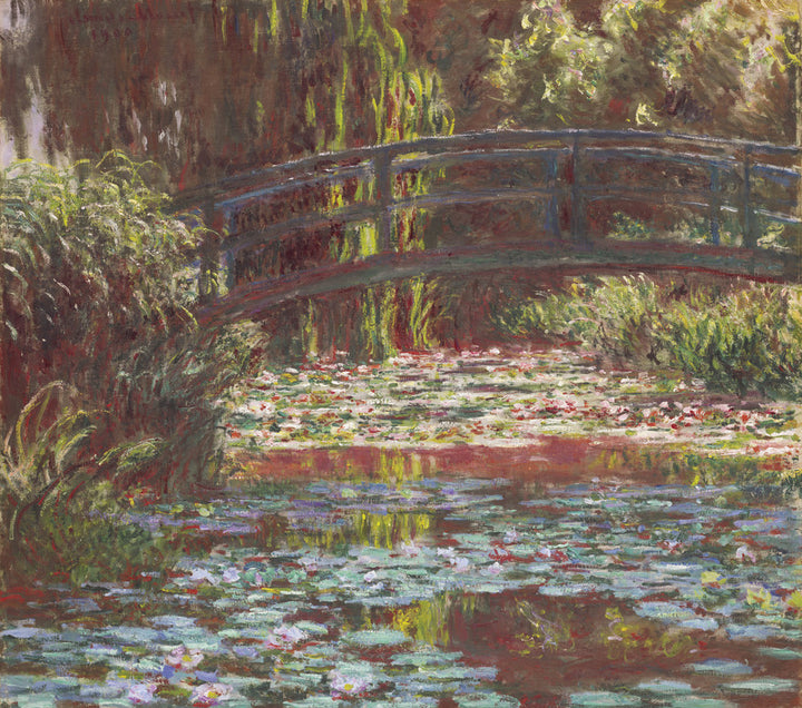 Water Lily Pond