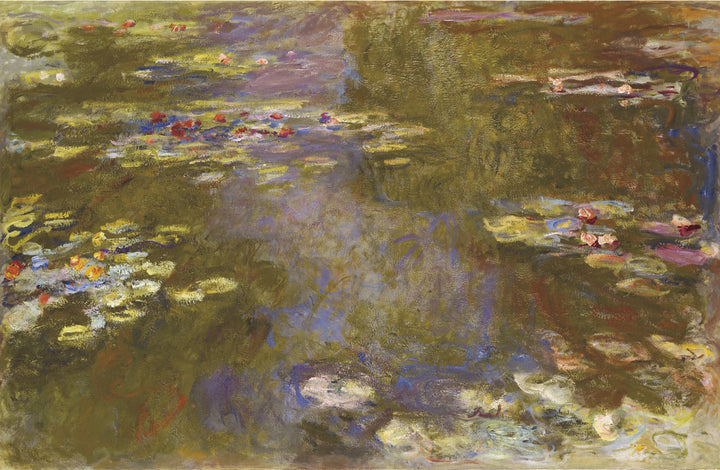 Water Lily Pond