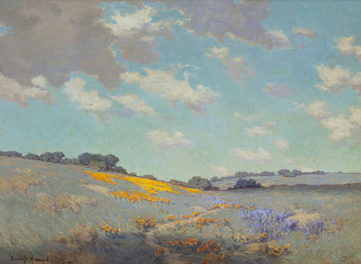 Patch of Poppies