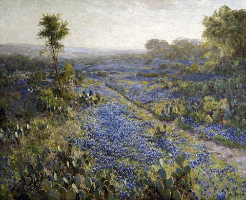 Field of Texas Bluebonnets and Prickly Pear Cacti