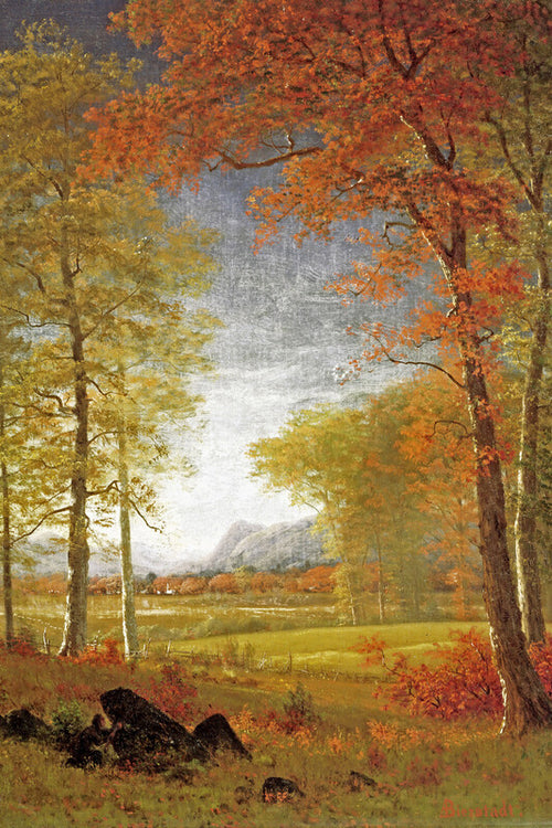 Autumn In America, Oneida County, New York