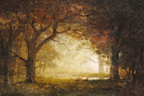 Forest Sunrise