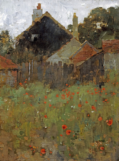 The Poppy Field