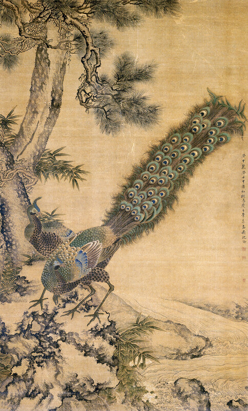 Bamboo, Pine and Peacocks