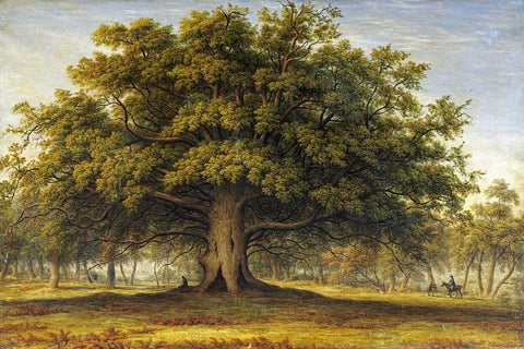 The Beggars Oak