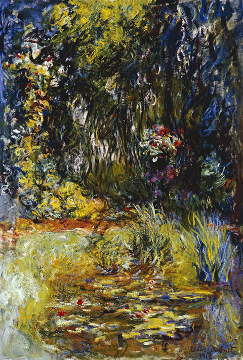 Corner of a Pond With Waterlilies