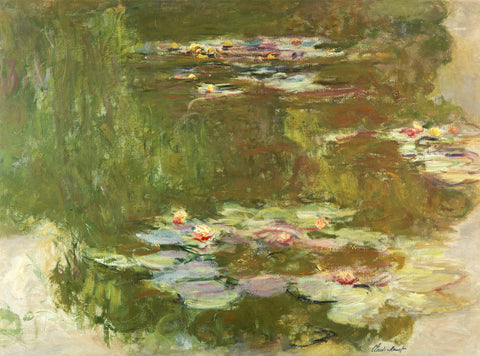 Lily Pond