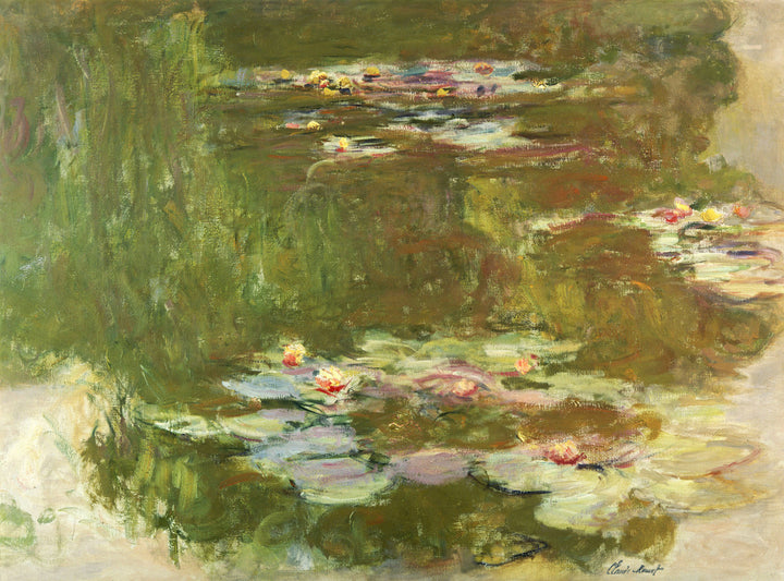 Lily Pond