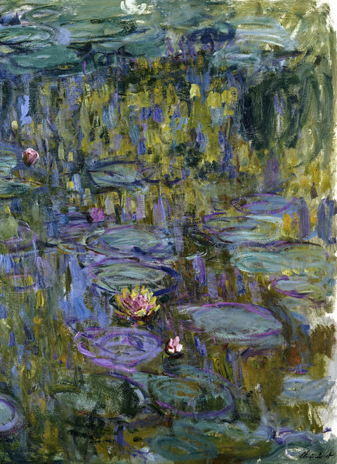Water Lilies