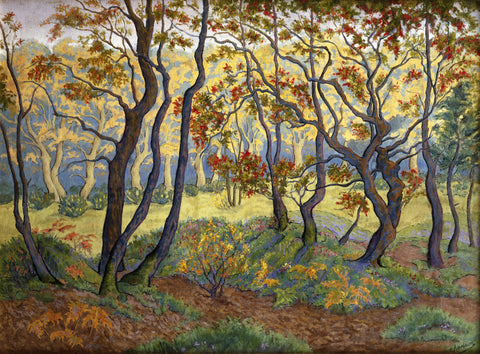 The Clearing