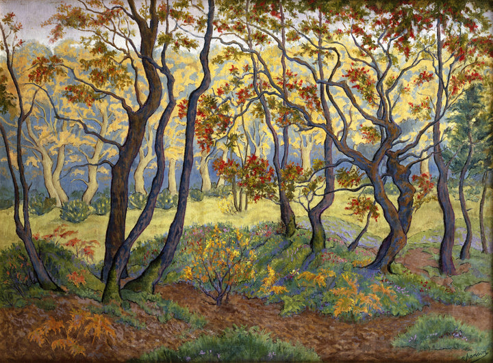 The Clearing