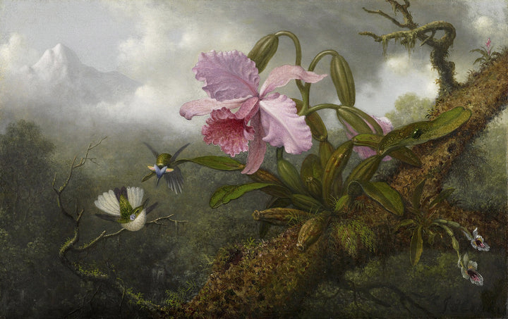 Cattleya Orchid, Two Hummingbirds and a Beetle