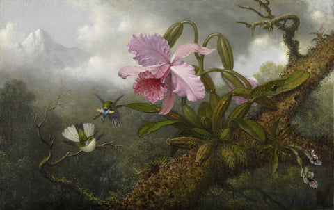 Cattleya Orchid, Two Hummingbirds and a Beetle