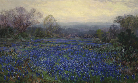 Untitled (Field of Bluebonnets)