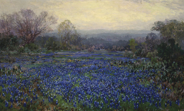 Untitled (Field of Bluebonnets)
