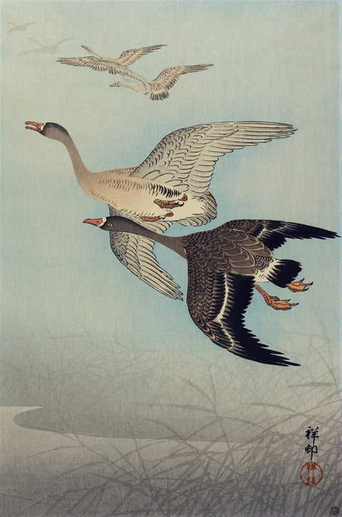 Flying geese