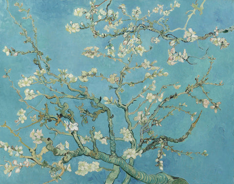 Almond Blossom
