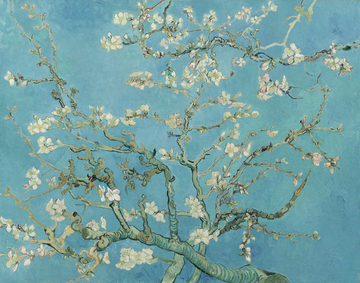 Almond Blossom