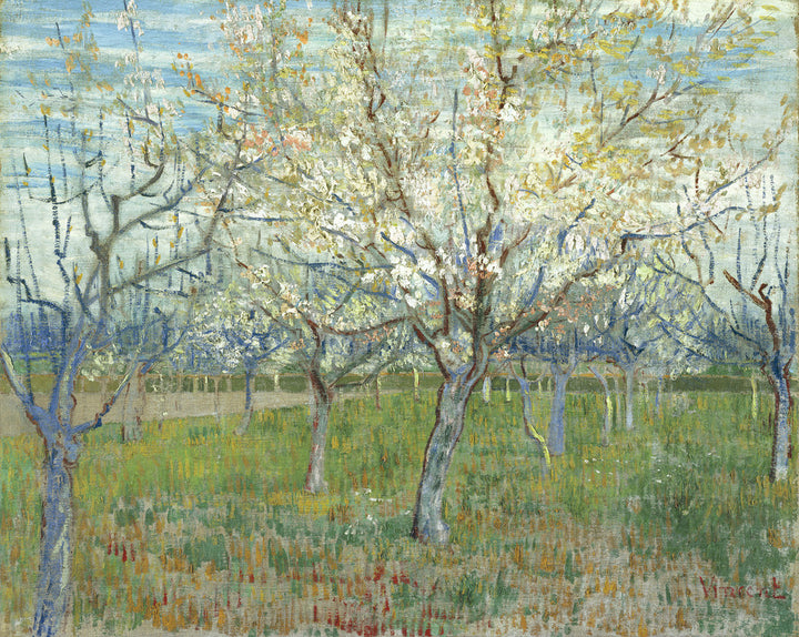The Pink Orchard