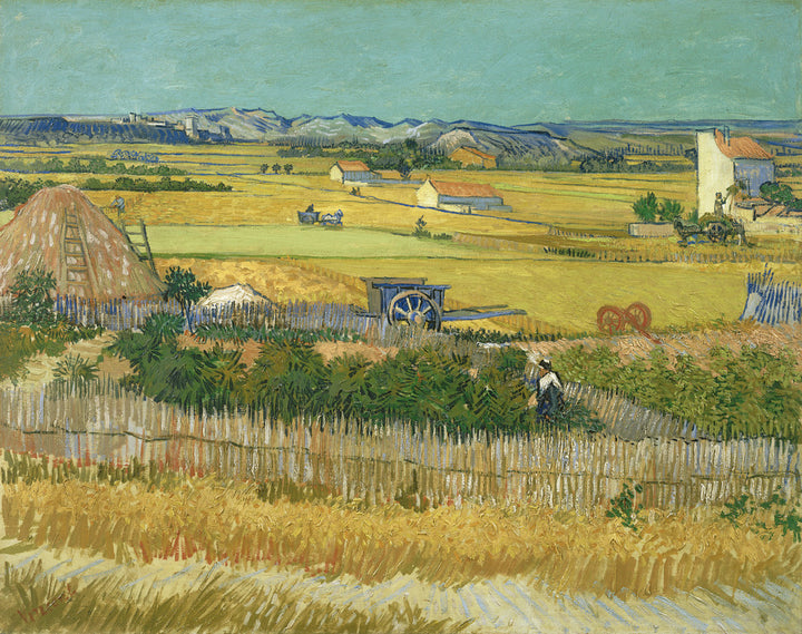 The Harvest