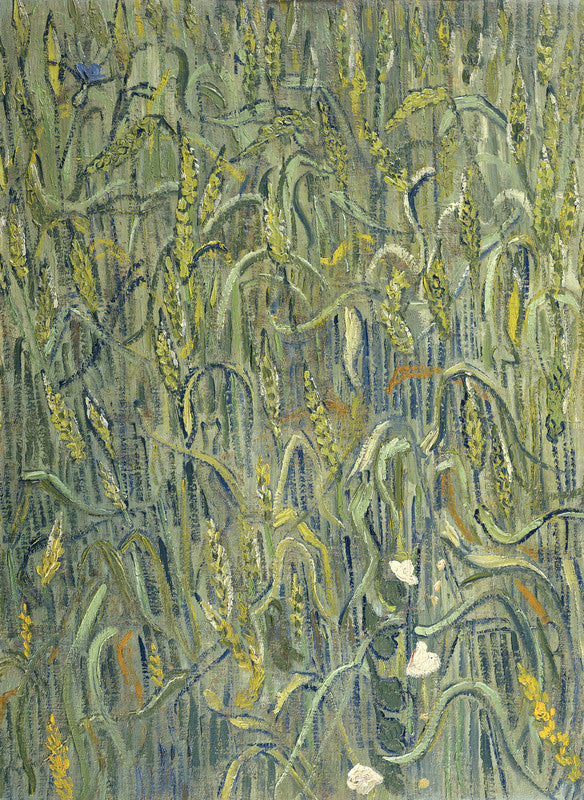 Ears of Wheat