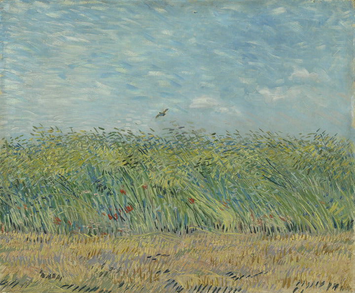 Wheatfield with Partridge