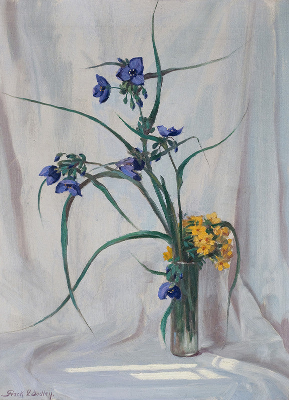 Spider Wort & Puccoon