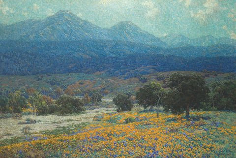 California Poppy Field