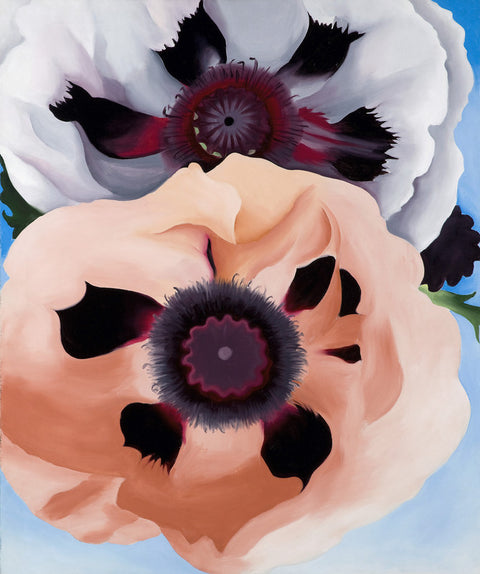 Poppies