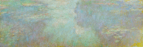 Water Lilies