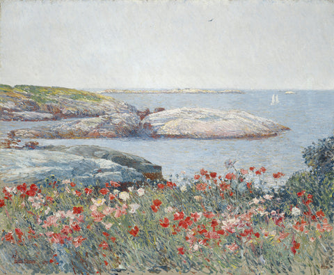 Poppies, Isles of Shoals