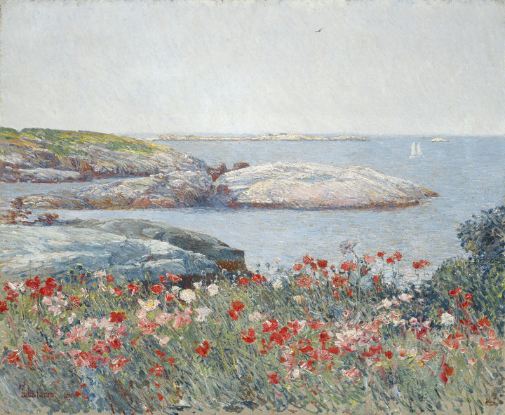 Poppies, Isles of Shoals