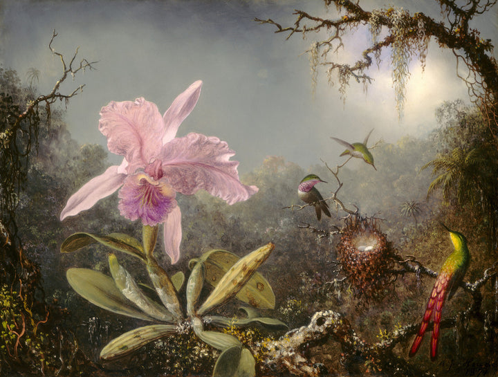 Cattleya Orchid and Three Hummingbirds
