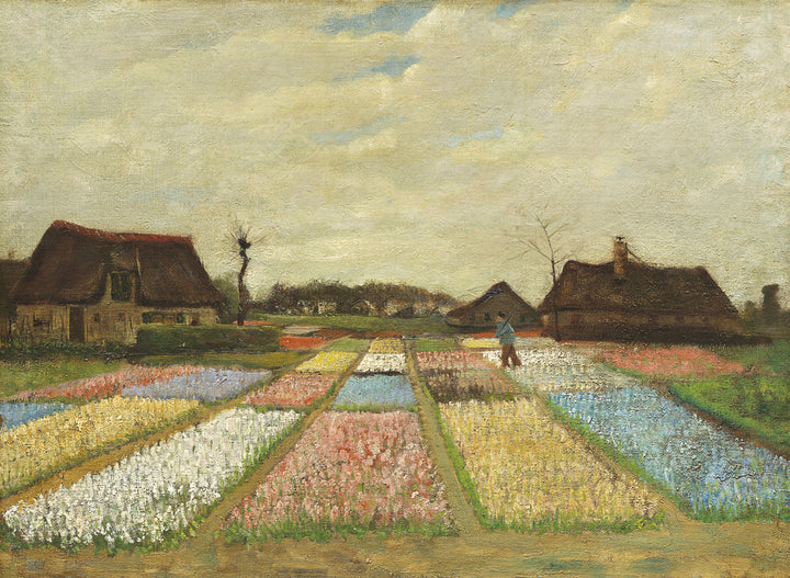 Flower Beds in Holland
